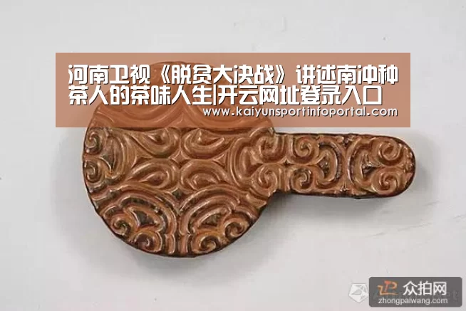 河南卫视《脱贫大决战》讲述南冲种茶人的茶味人生|开云网址登录入口