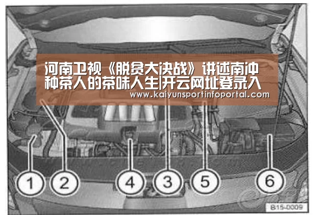 河南卫视《脱贫大决战》讲述南冲种茶人的茶味人生|开云网址登录入口(图2)