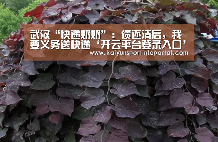 武汉“快递奶奶”：债还清后，我要义务送快递‘开云平台登录入口’